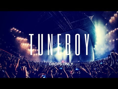 |HARDSTYLE DROPS ONLY| Tuneboy @ Qlimax 2016