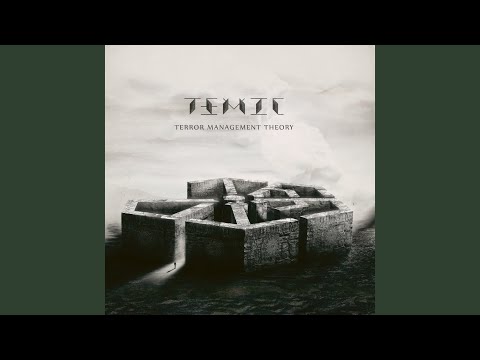 Paradigm (Live At The Boerderij 2025)