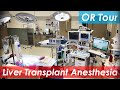 Liver transplant anesthesia - operating room tour
