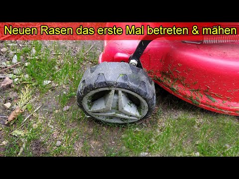 Rasen neu gesät / nachgesät, ab wann das erste mal betreten, mähen & düngen? Frisch gesäten Rasen