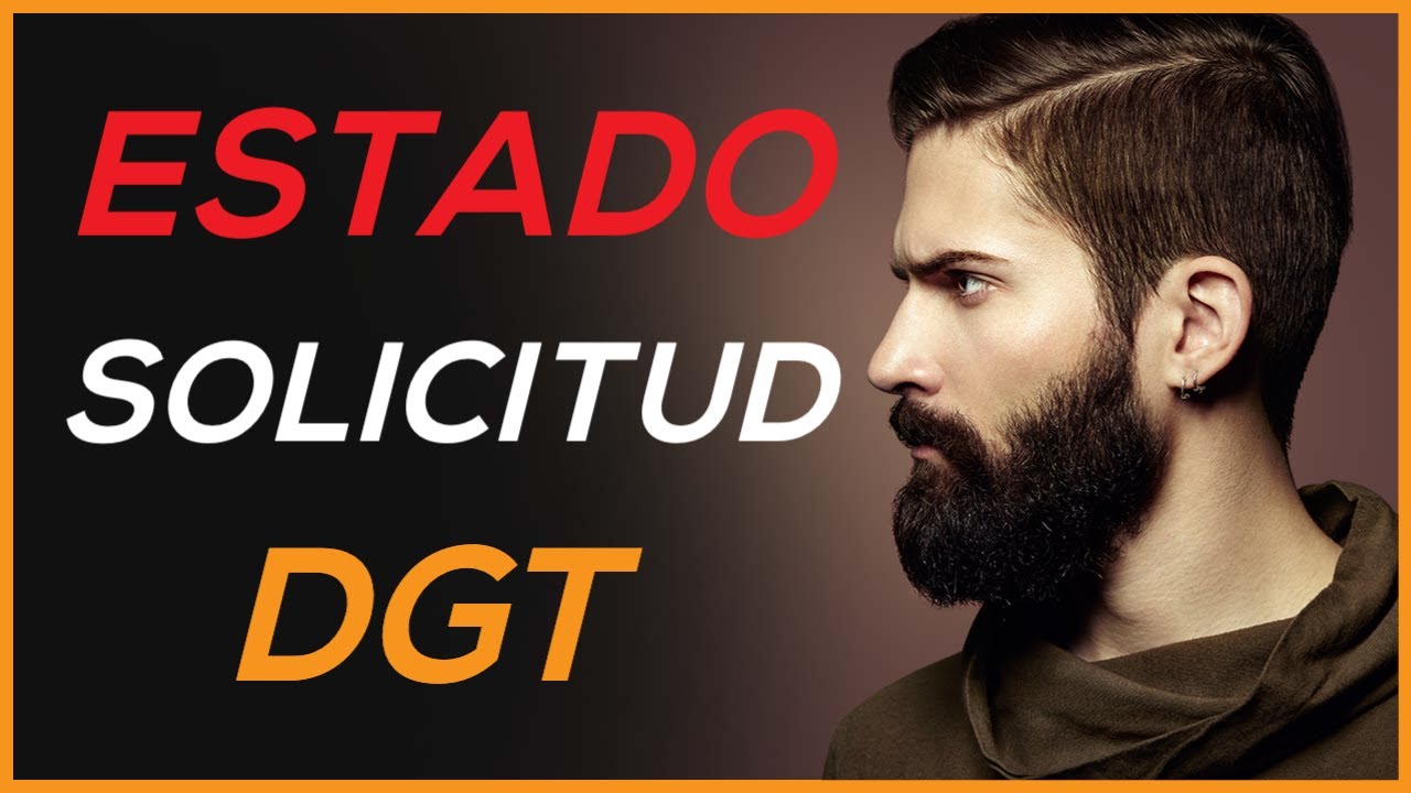 Ver estado de solicitud de canje del carnet de conducir DGT