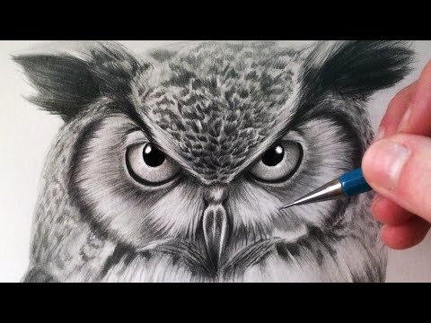 download lagu mp3 mp4 Owl Drawing, download lagu Owl Drawing gratis, unduh video klip Owl Drawing