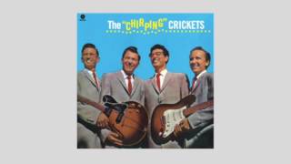 The Crickets - Rock Me My Baby