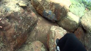 Bama's Video Blog Fake ones and Real ones