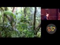 Suprabha Seshan - Rainforest Etiquette in a World ...