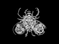 Flykkiller - Fear - wasptriphop Flykkiller - Fear