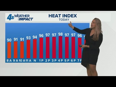 Hot and humid Sunday with a stray shower possible