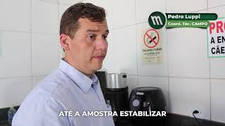 Como calcular matéria seca da silagem de milho