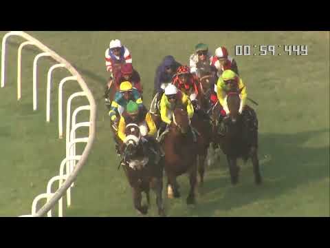 ARDAKAN wins The Lexus Cup