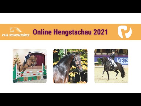 Online Hengstschau Hengststation Schockemöhle 2021