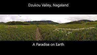 preview picture of video 'DZUKOU VALLEY | TREKKING | NAGALAND | North East India'