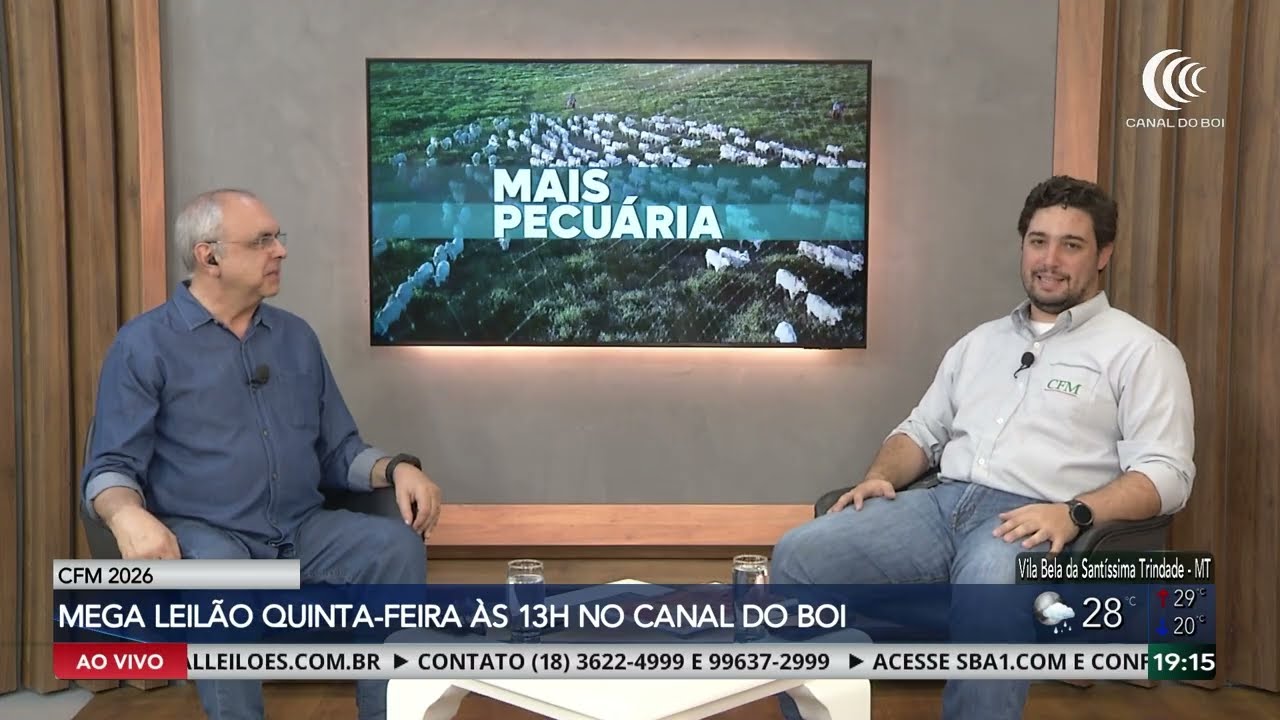Mega Leilão CFM 2026 oferta 600 touros Nelore no Canal do Boi