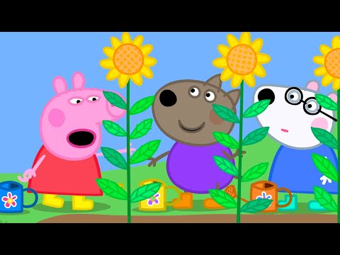 Peppa Pig And The Playgroup Create A Garden 🐷 🌱 Playtime With Peppa