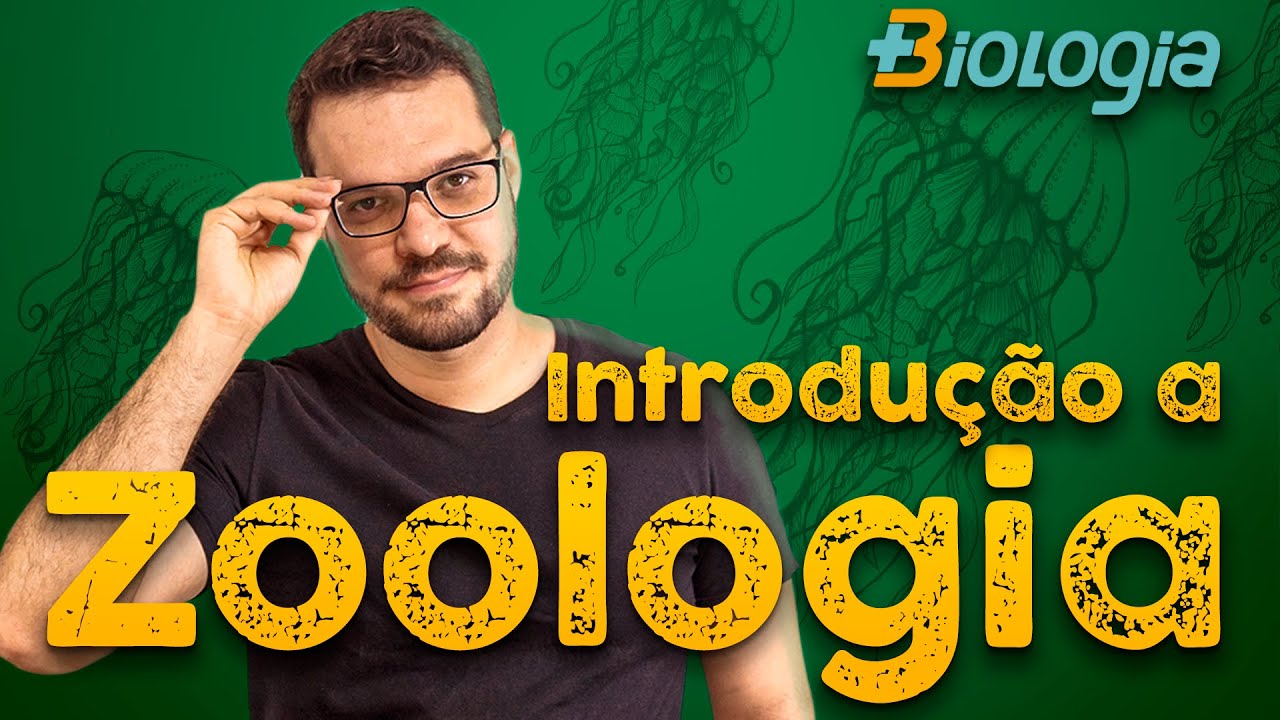 Introdução a Zoologia: Reino Animalia (Metazoa) em Mais Biologia, com Roger Maia