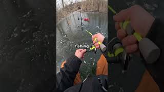 No creerás qué pescó.