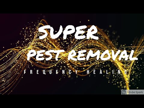 INSTANT BedBug & Mite Removal- Play 1 HR #bedbugremoval #mitefrequency