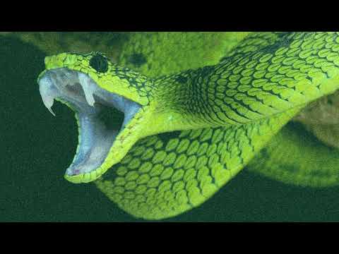 (SOLD) Tyga x Chris Brown x DA Doman Type Beat 2019 "Seduce" | Club Banger Type Beat 2019