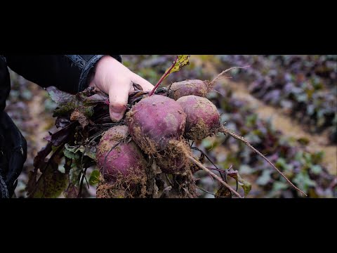 THE END OF MEAT - Deleted Scenes - Vegan Organic Farming in Austria
