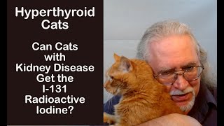 Can a Hyperthyroid Cat with Kidney Disease Get the I-131 Radioactive Iodine?