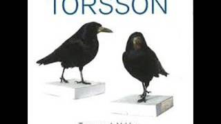 Music video thumbnail preview for Torsson - Tio Svarta Fåglar by Torsson