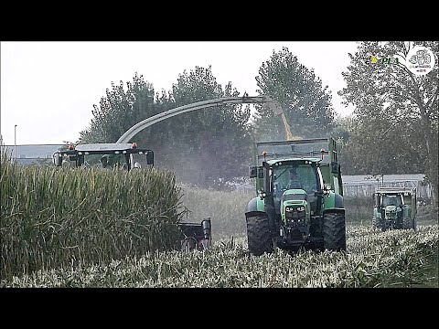Claas Jaguar 970 & 2 Deutz Agrotron + Vaia trailers - Gruppo PEA - Pastone mais 2019