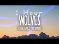 [ 1 HOUR ] Selena Gomez, Marshmello - Wolves (Lyrics)