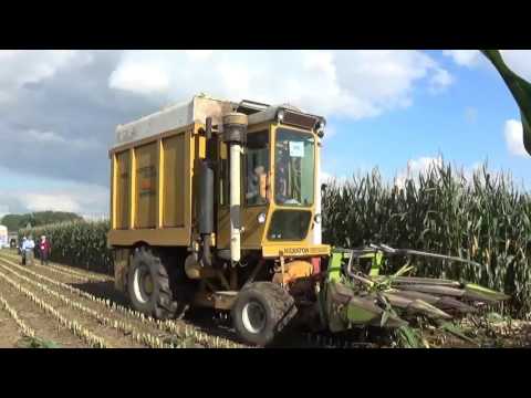 Werktuigendagen Oudenaarde 2015 Oldtimer hakselen
