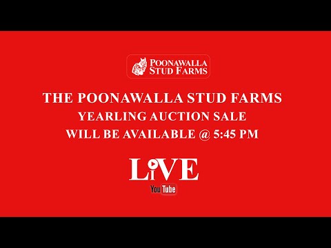 Poonawalla Stud Farms Yearling Auction Sale 2021