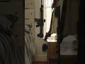 bedside holster and gun rack
