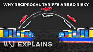 Why Trump’s Tariff Plan Is Getting Riskier, According to Economists | WSJ
