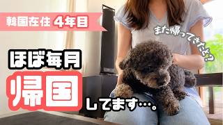 この生活が続けばいいな。【韓国在住日本人のVlog】