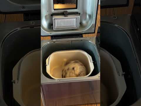 Raisin bread in the bread machine #breadrecipes