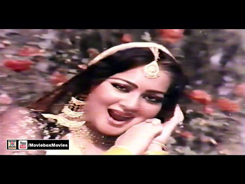 JEHRA ZULFAN NU ZANJEER KAHVE - NOOR JEHAN - PAKISTANI FILM PUTTAR SHERAN DE