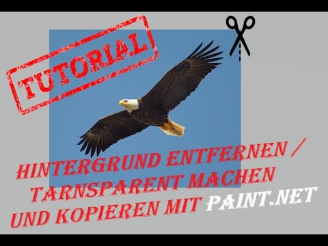 Tutorial  /  Hintergrund entfernen  /  Transparent machen und kopieren mit paint.net