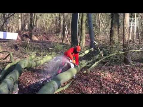 Burg Wittenheim wird wieder zugänglich