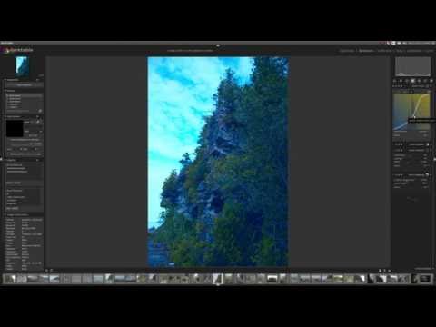 Making Your Greens Pop in Darktable