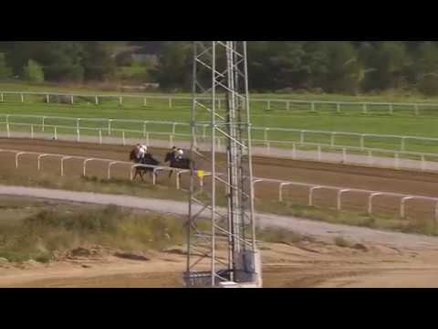 2017.09.24 Nickes Minneslöpning (SWE) - Brownie