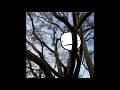 FEiN FEAR Official Audio