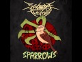 Shock Therapy-Sparrows 