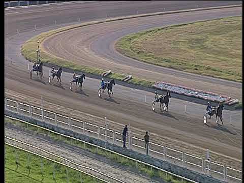 Trotto 06/07/2019 - 1ª prova di qualifica