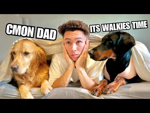 A Day In The Life Owning 2 Dogs