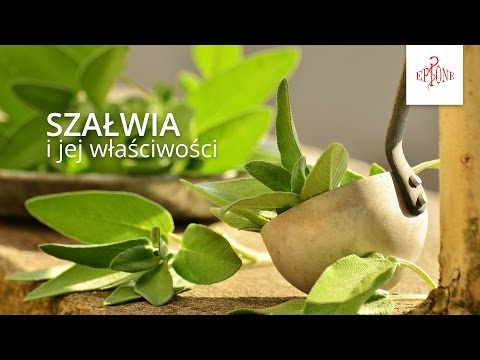 Maska z witamin, jaki rodzaj włosów Żagle z ceną wypadanie włosów w aptece