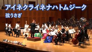 Download lagu アイネクライネナハトムジーク【弦うさぎ】 mp3