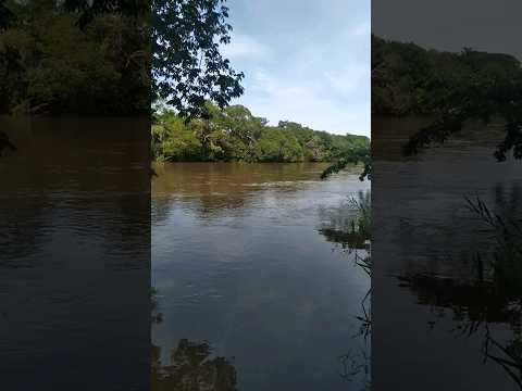 Rio Apore o Rio de cruza Mato Grosso do Sul e Goiás.