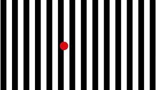 Optokinetic Training: Horizontal Distortion Moving Right - VOR x2 Slow