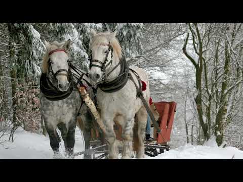 The First Noel arr. Andrew Harbridge