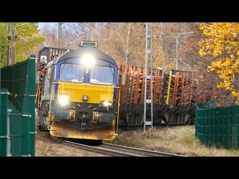 Svenska tåg del 47 - Borlänge Central