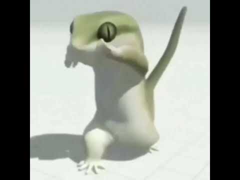 Ящер флексит под КЕШБЕК НА ВСЁ/ 1 час