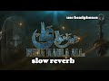 Ha Myra Mola Ali Nadeem Sarwar Slow Reverb AryanAli5