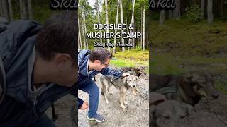 Would you book this excursion in Skagway, Alaska? #cruise #shorts